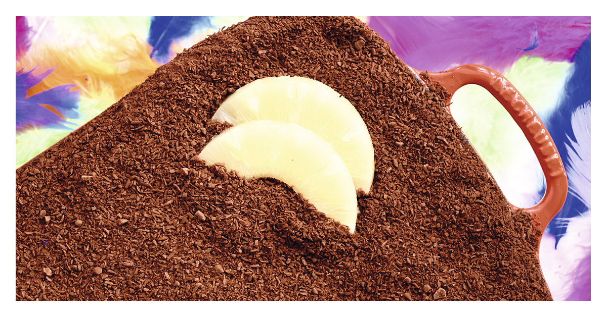 Tropical tiramisu uit Feest!